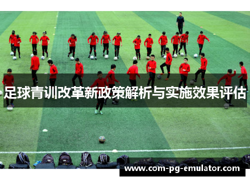 足球青训改革新政策解析与实施效果评估