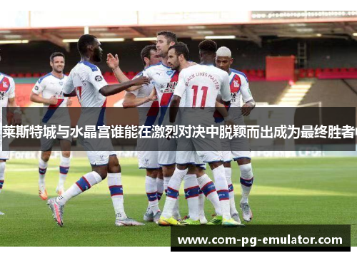 莱斯特城与水晶宫谁能在激烈对决中脱颖而出成为最终胜者