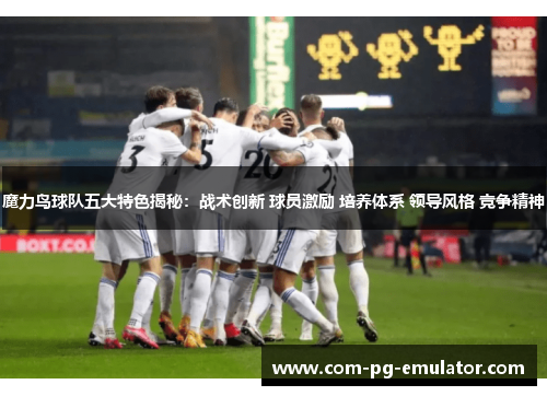 魔力鸟球队五大特色揭秘：战术创新 球员激励 培养体系 领导风格 竞争精神